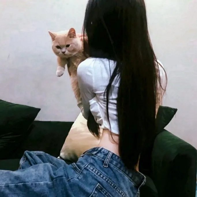 犬爱