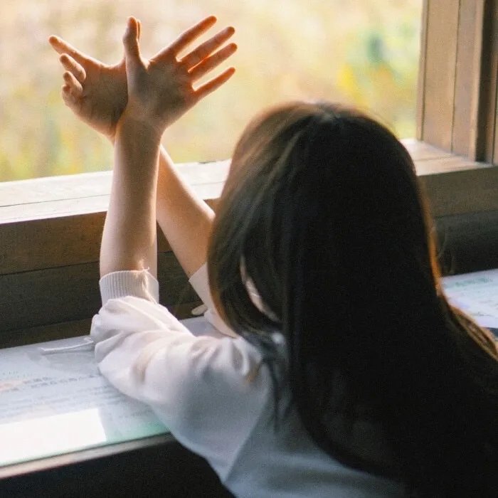 哥斯拉(原声版)